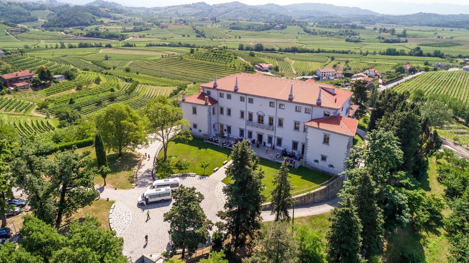 Immagine per Dante arriva a Vila Vipolže, musica cortese e visite guidate a Brda